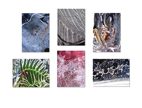Snow and Ice I Greeting Card Collection by The Poetry of Nature
